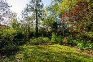 Knowle Lane Ecclesall